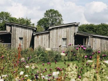 Rustic wooden cabins surrounded by wildflowers and greenery under a cloudy sky.