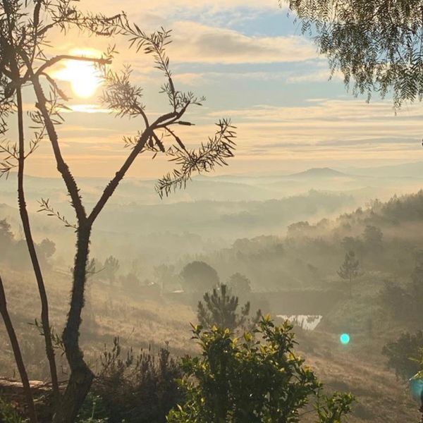 Mountains under mist in the morning Amazing nature 