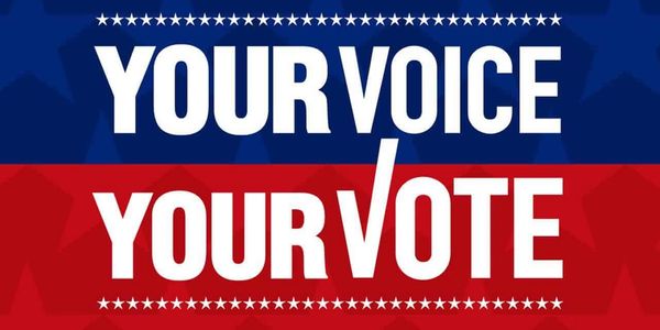 one voice one vote true democracy