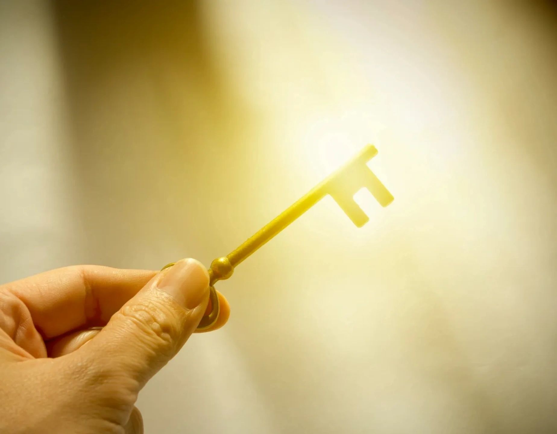 Vital Living Wellness Solutions