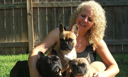 Family Fun Frenchies - Puppies for Sale, French Bulldog ...