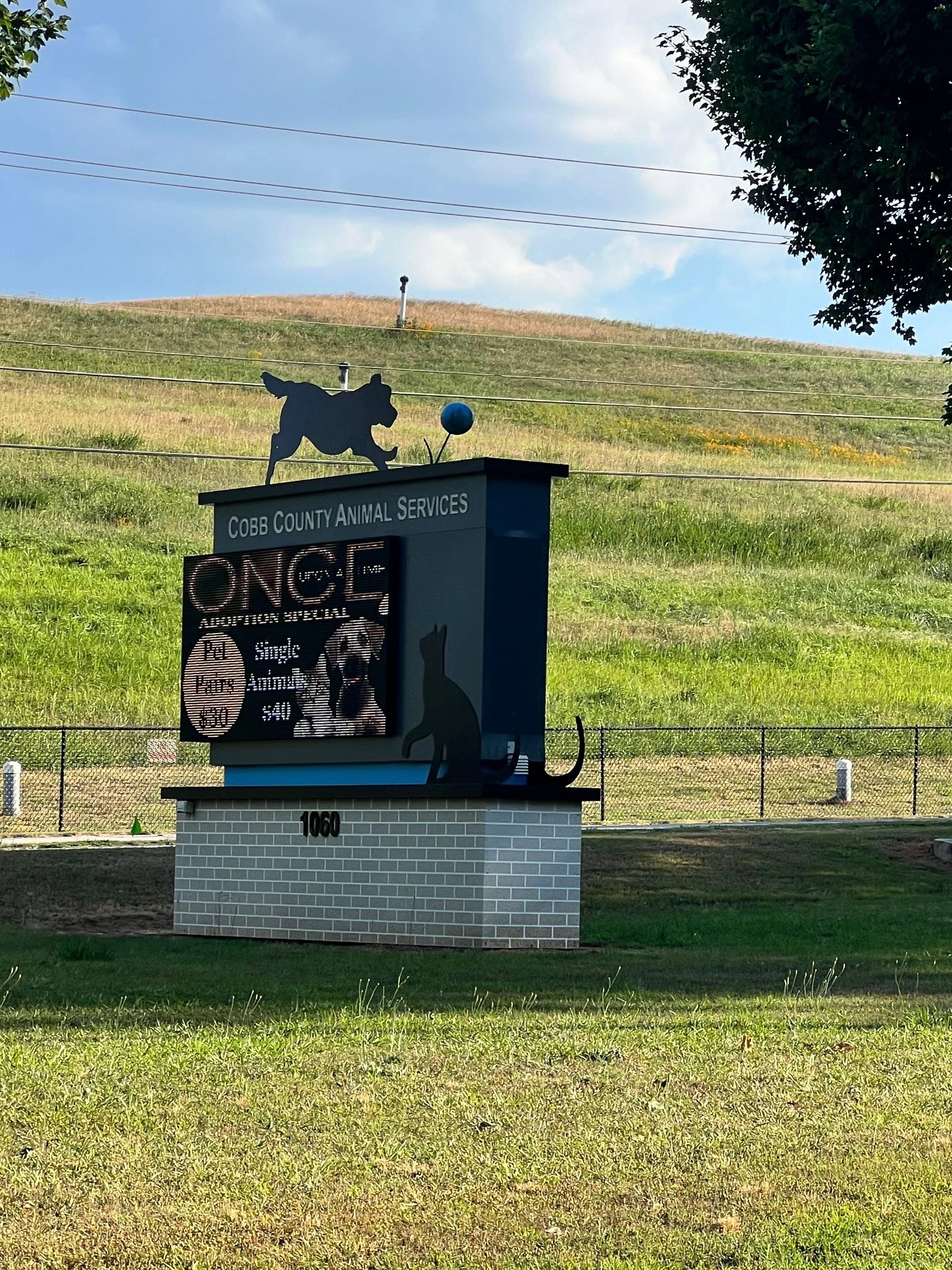 Cobb County Animal Shelter