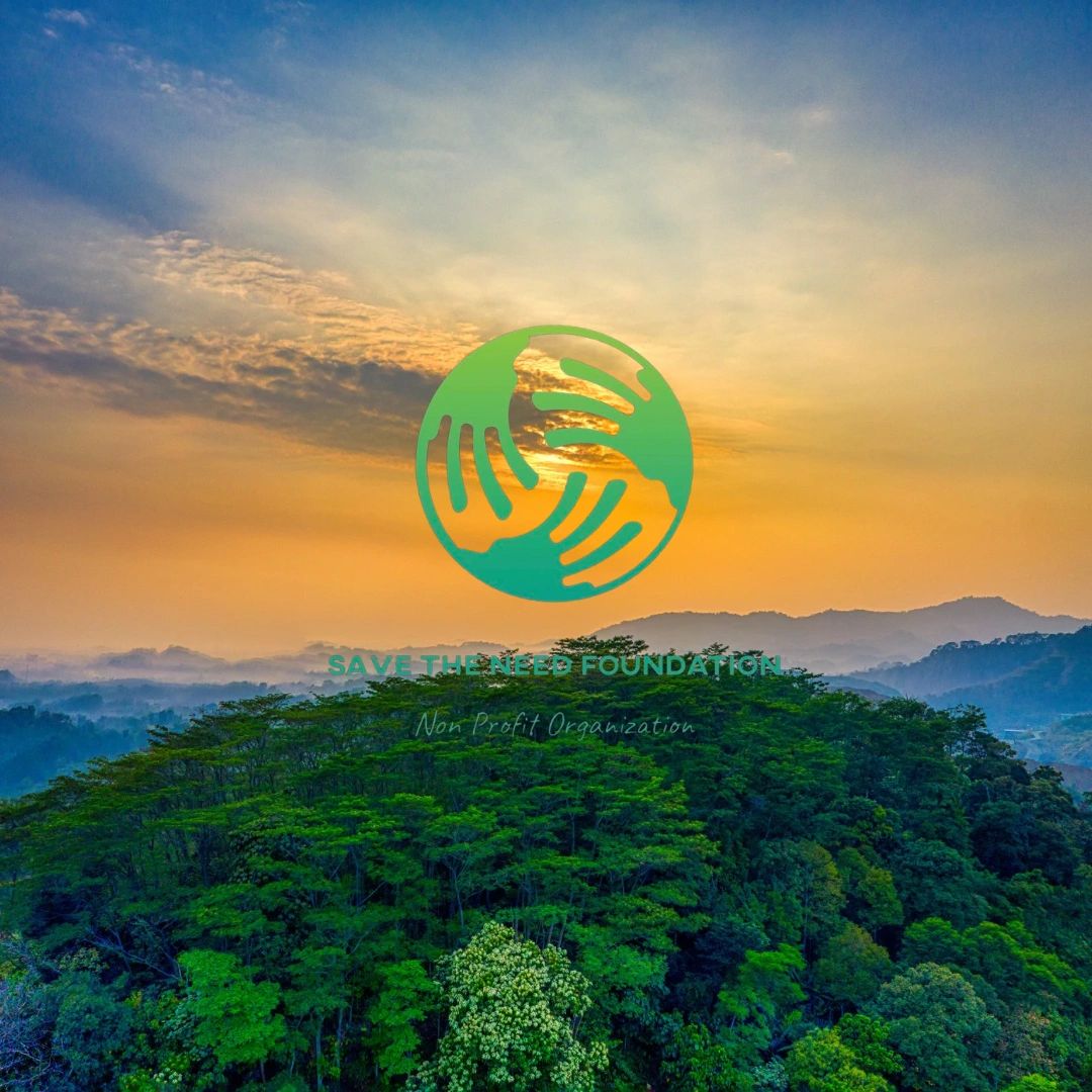 Logo of Save The Need Foundation over a lush green forest at sunset.