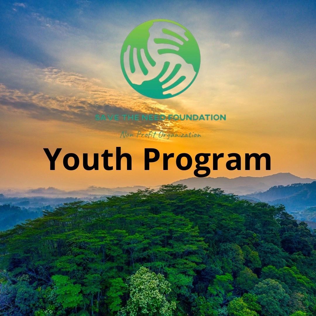 Logo of Save the Need Foundation Youth Program over a scenic sunrise landscape.