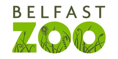 Logo of Belfast Zoo with green text and nature elements.