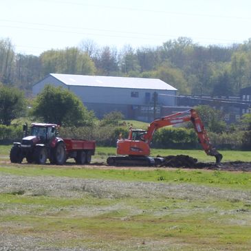 Japanese Knotweed excavation soil screening treatment removal survey development residential Wales 