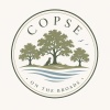 Copse on the Broads