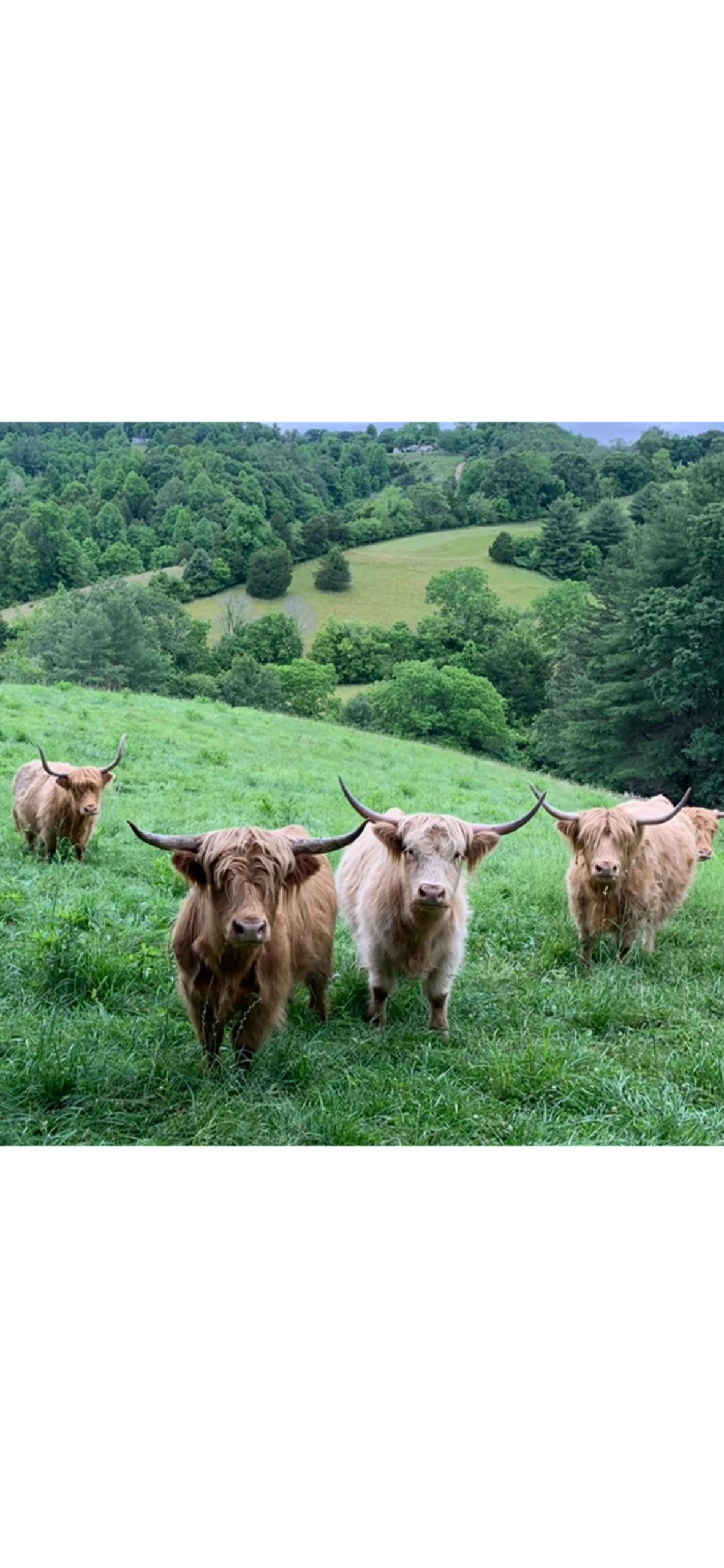 Cross Point Ranch
