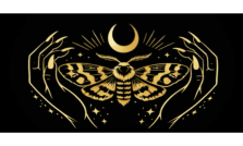 Isabella Tiger Moth