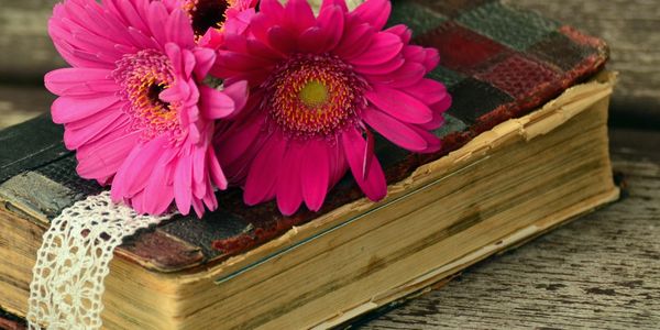 Imagem de uma paisagem natural com montanhas e um lago ao fundo, transmitindo tranquilidade.