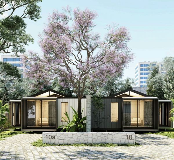 Modern duplex homes with flowering tree.