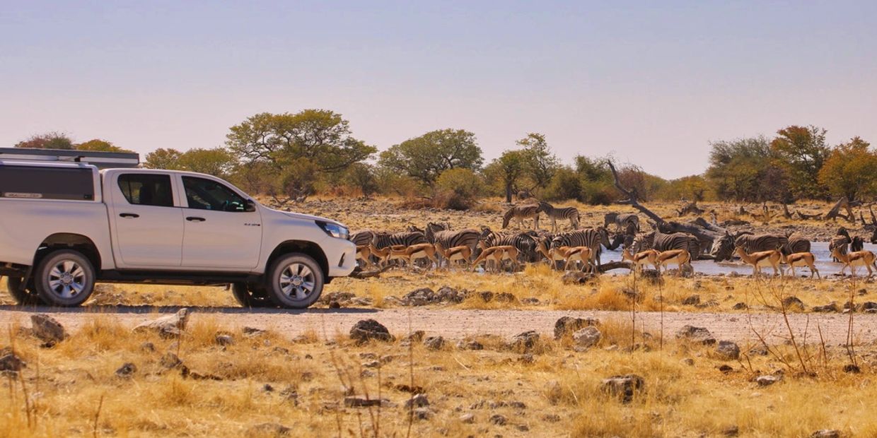 Game viewing at a waterhole in the Etosha National Park in Namibia