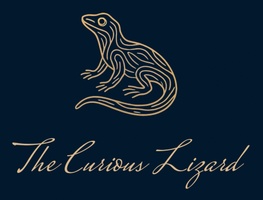 The Curious Lizard