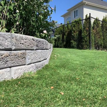 A sunny backyard with green grass, a stone retaining wall, and a house in the background.