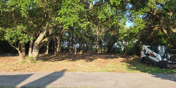 Forestry Mulching, Selective Land Clearing