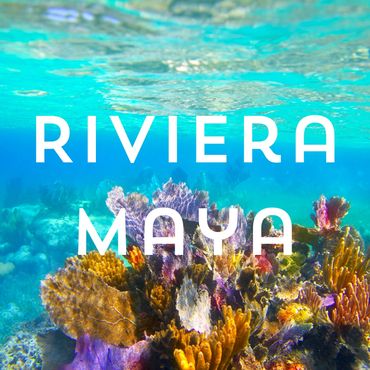 destination wedding in riviera may
Riviera Maya Wedding