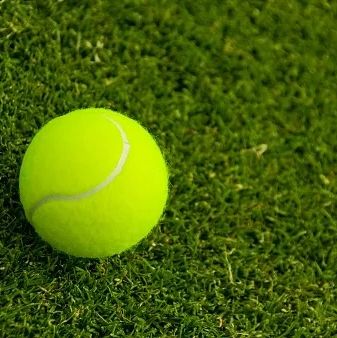A tennis ball on grass.
