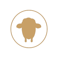 Blacksheep Hair Society