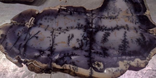 Upcoming Shows:

DGMG Jewelry, Gem & Mineral Show, Friday February 28th - Sunday March 2nd  Jefferso