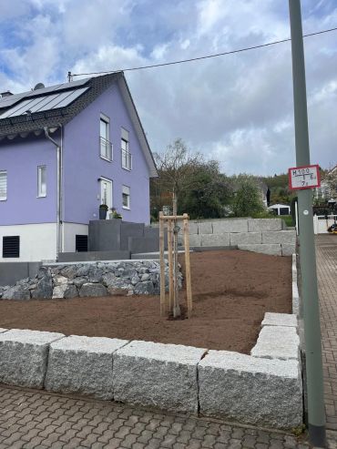 Neues Haus mit lila Fassade und kleinem gepflanztem Baum.