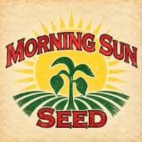 Morning Sun Seed