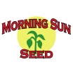 Morning Sun Seed