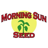Morning Sun Seed