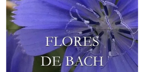 Flores de Bach