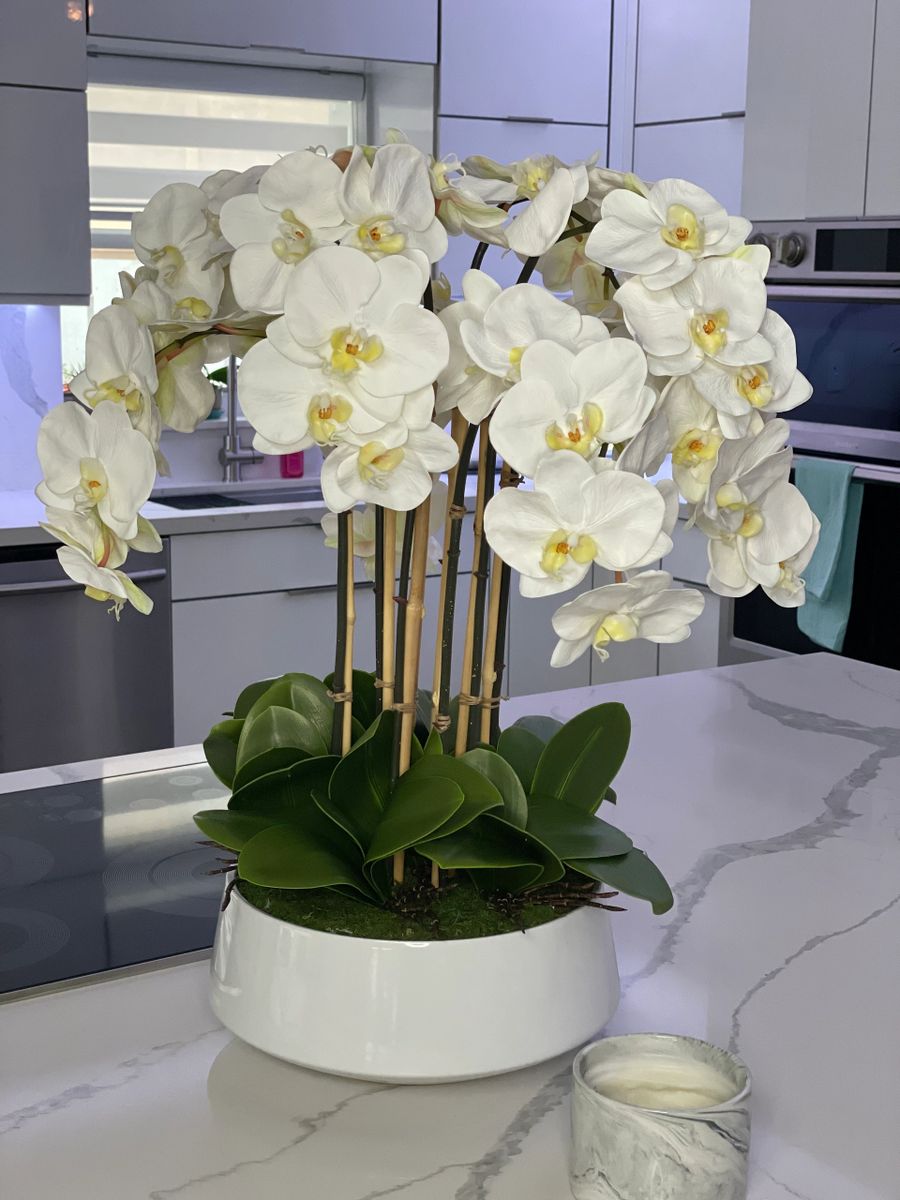 Phalaenopsis Orchids Floral Arrangement in White Planter