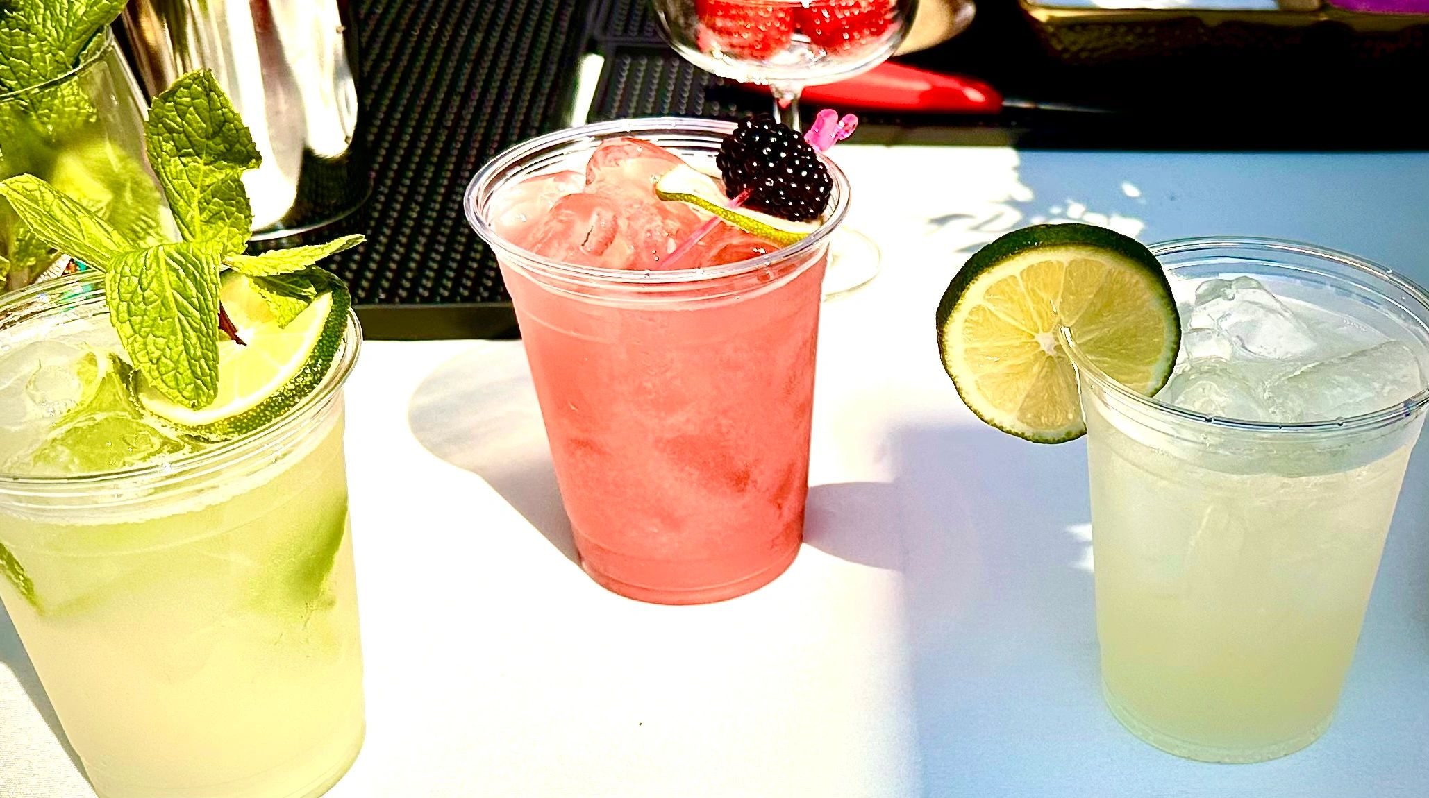 Sassy Sips Mobile Bar Long Island, NY (631)278•9839 - Mobile Bar in Long Island