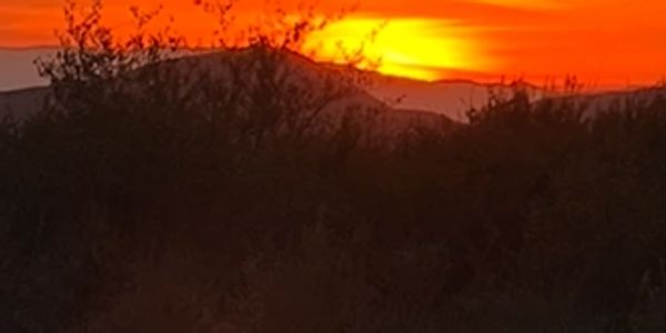 Sunset casting orange hues over silhouetted bushes and distant hills.