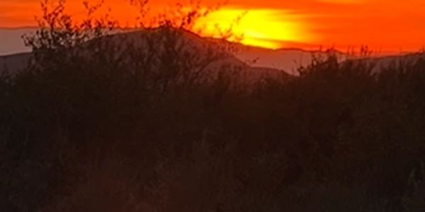 Sunset casting orange hues over silhouetted bushes and distant hills.