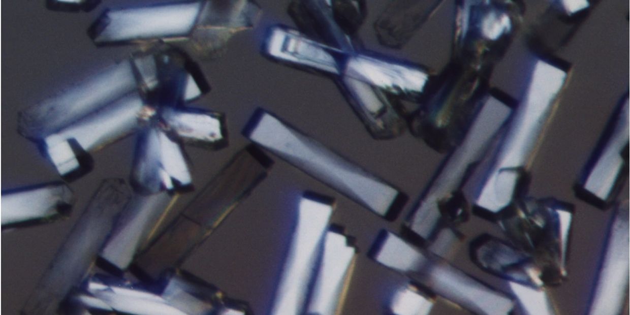 Close-up of elongated, crystalline structures with a reflective, metallic sheen.