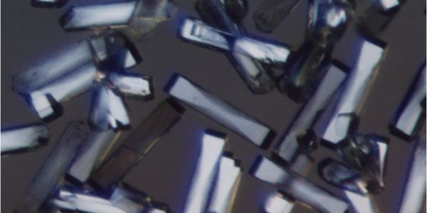 Close-up of elongated, crystalline structures with a reflective, metallic sheen.