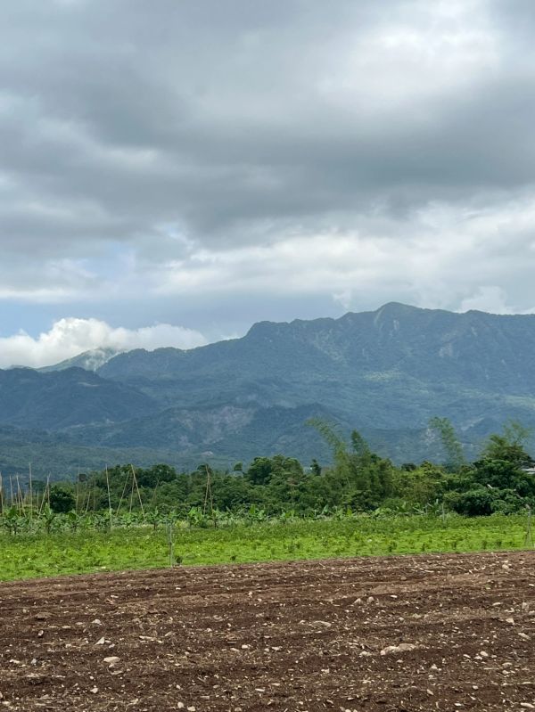 Mountain slopes above the Taitung tea farms