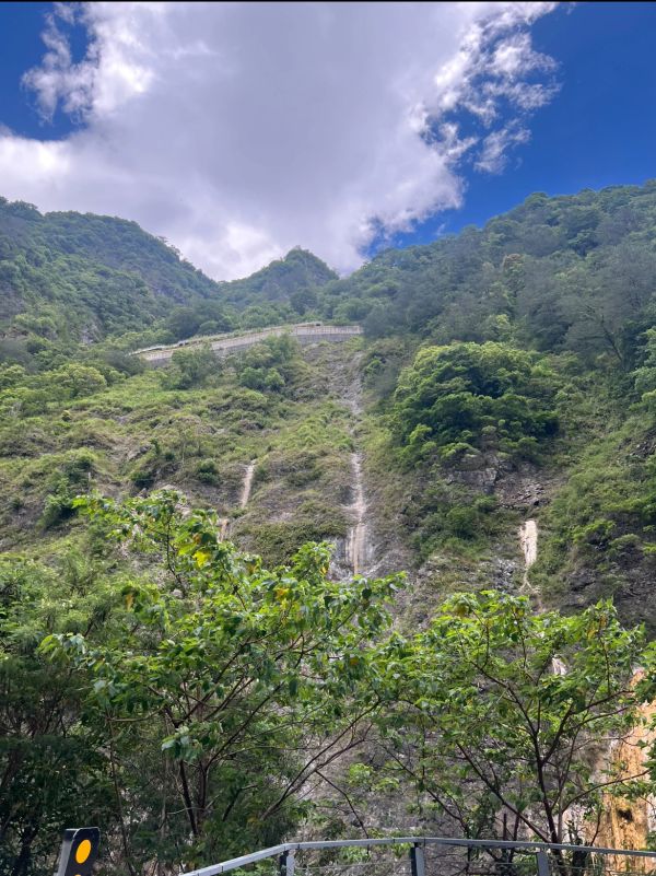 A clean, remote growing location in Taitung