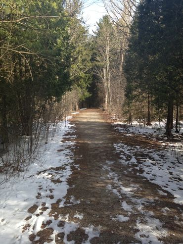 Winter Hiking along the Cambridge to Paris Rail Trail starting in Glen Morris. 