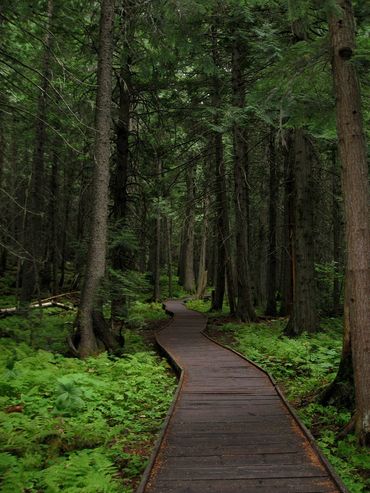 Beginner Hiking Meet-up group in the Cambridge, Kitchener and Waterloo Area. 