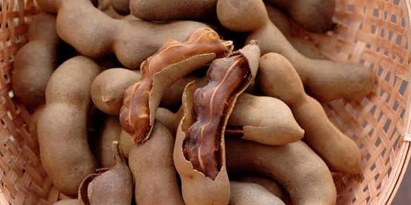 Tamarind Paste Nexeen Foods Private Limited