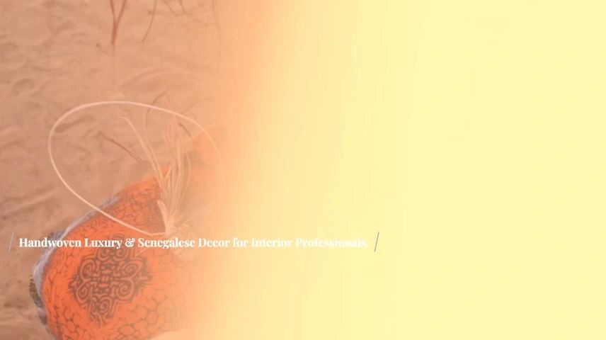 https://img1.wsimg.com/isteam/ip/5053c861-bdeb-45ed-95a3-9278ba5f04d8/thumbnails/thumbnail-e29f6686-eec1-4011-9255-42c8a8a5fc45.png