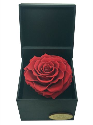 Black Small Wooden Box / 1 XXL Rose / Eternal Fresh Flower