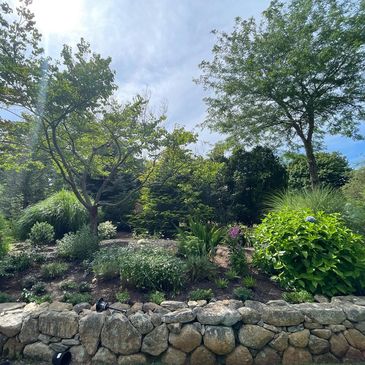 Retaining wall garden during summer with new plants