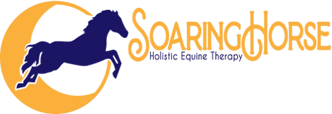 Soaring Horse Holistic Equine Therapy