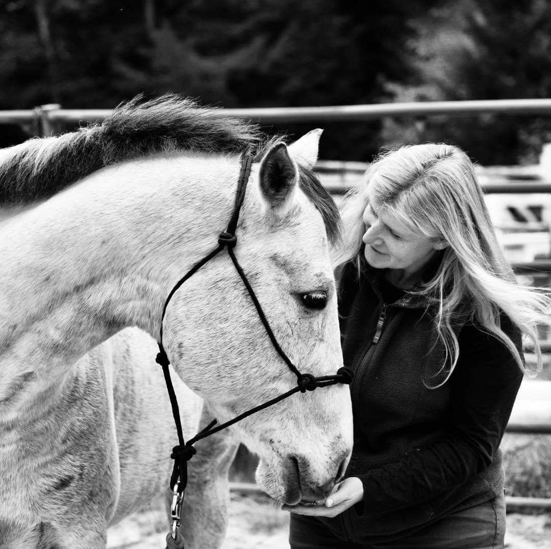 Soaring Horse Holistic Equine Therapy