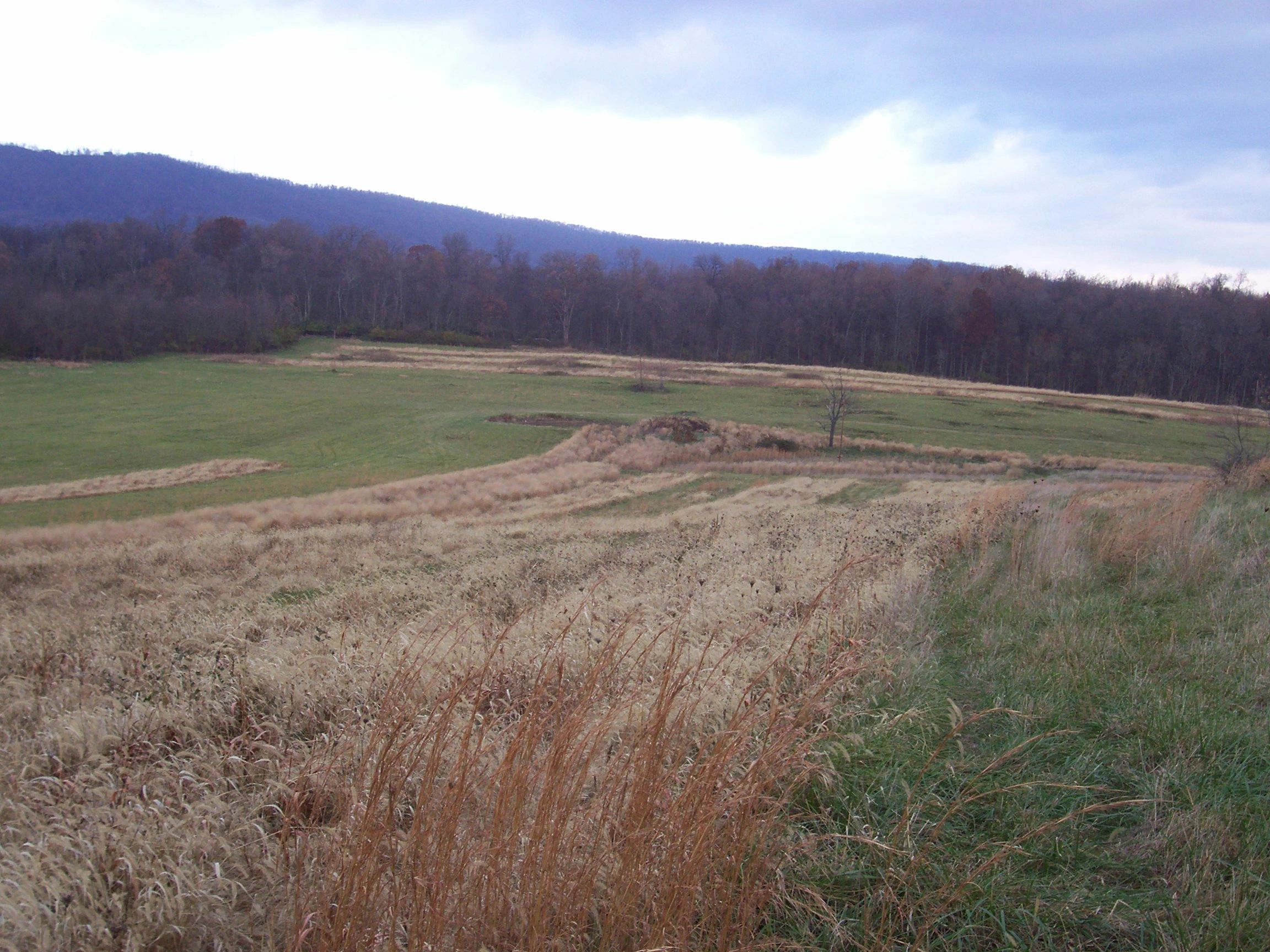 Shenandoah Valley Sportsmen — photo 1