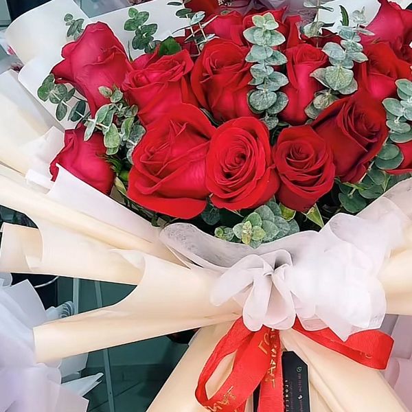 A bouquet of vibrant red roses wrapped in cream paper and tied with white and red ribbons.