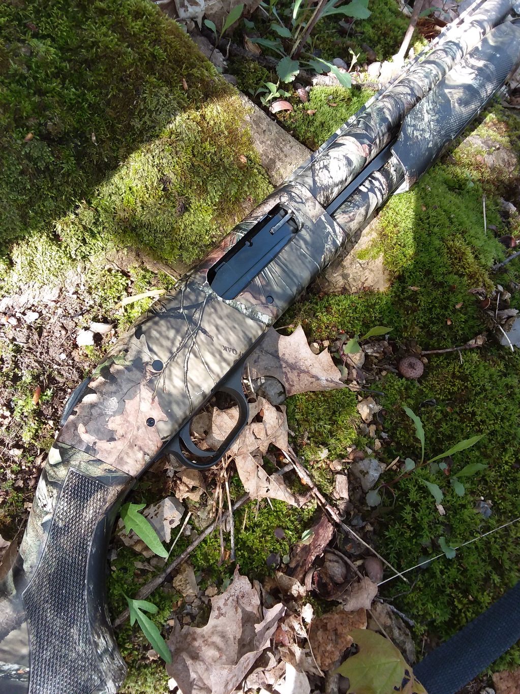 Mossberg 835 Turkey Shotgun in the field