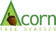 Acorn Tree service