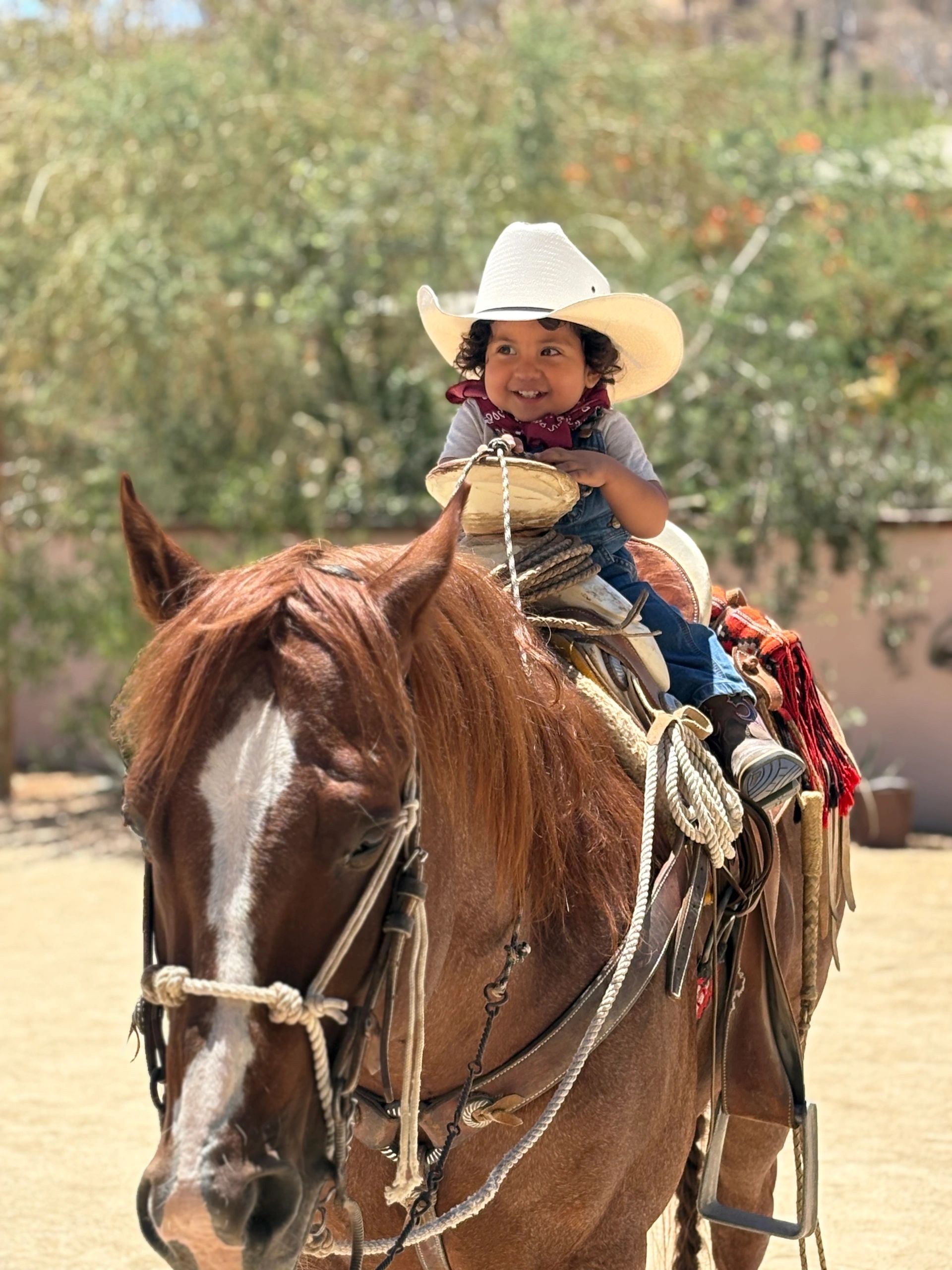 Corazon Ranchero