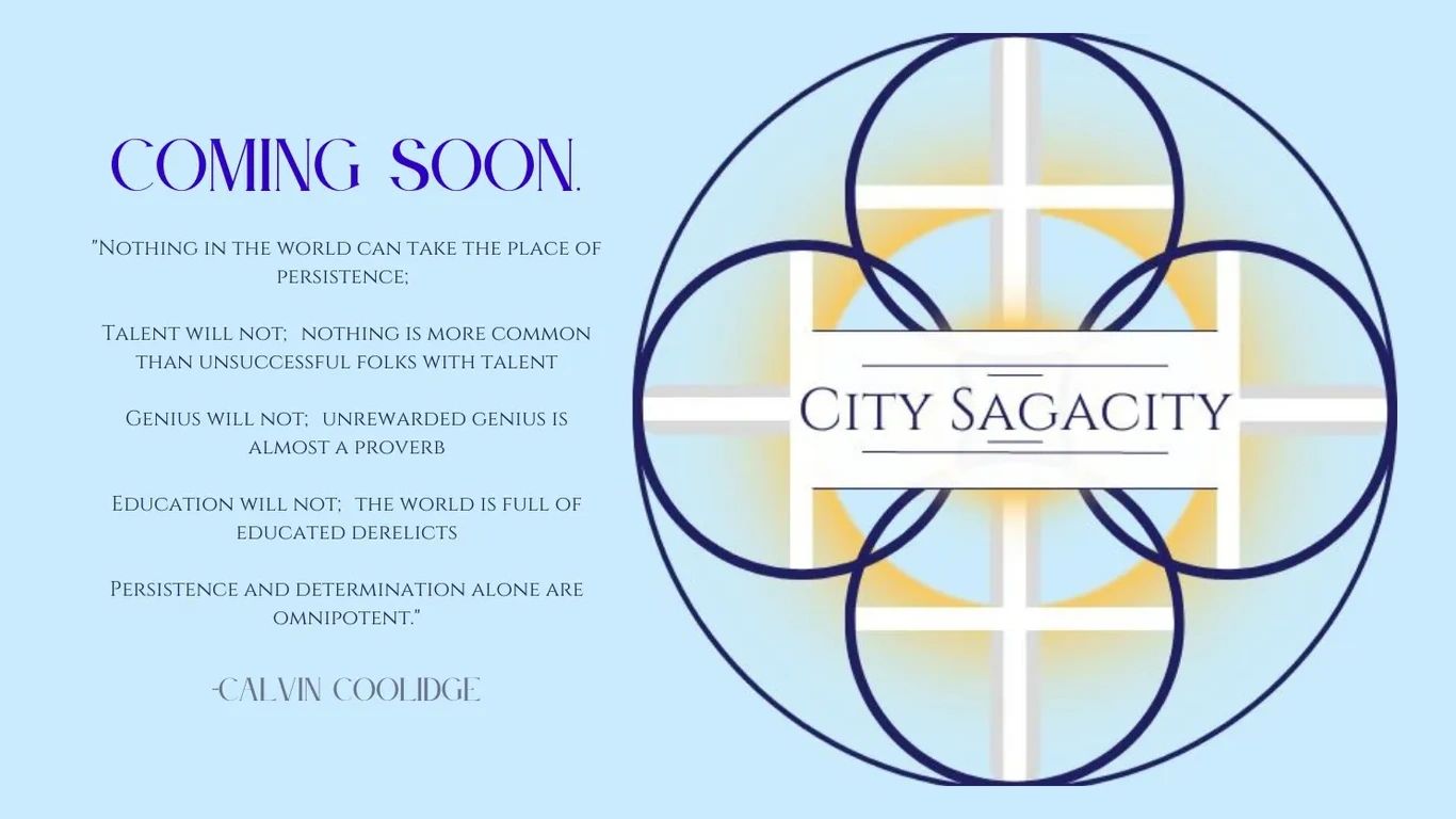 City Sagacity